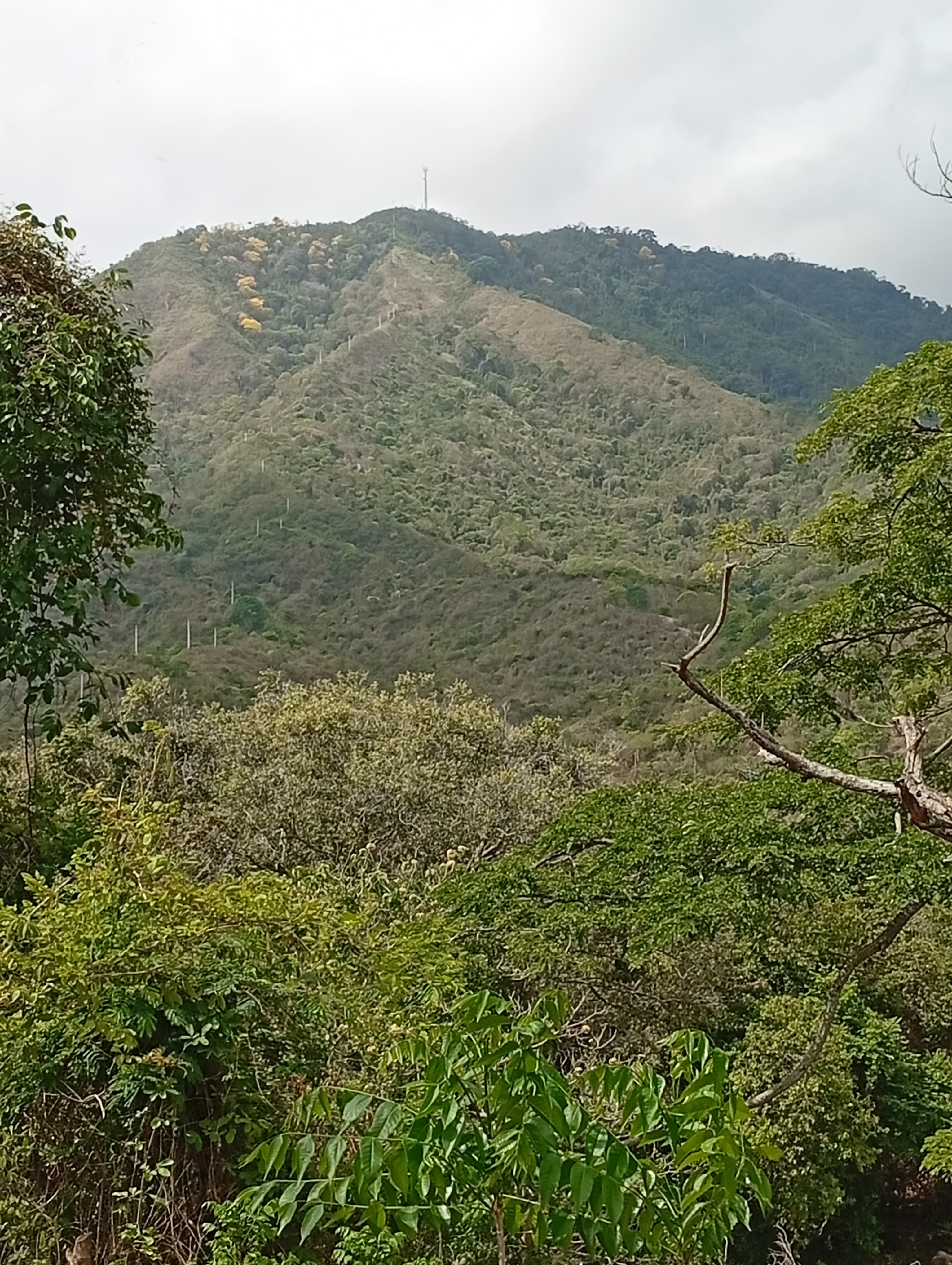 El Cerro Viejo